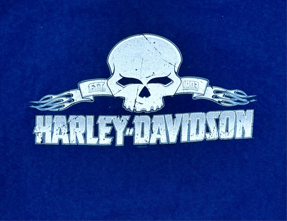 2008 Harley Davidson Shirt - Medium - ALL GOODS - ALL GOODS