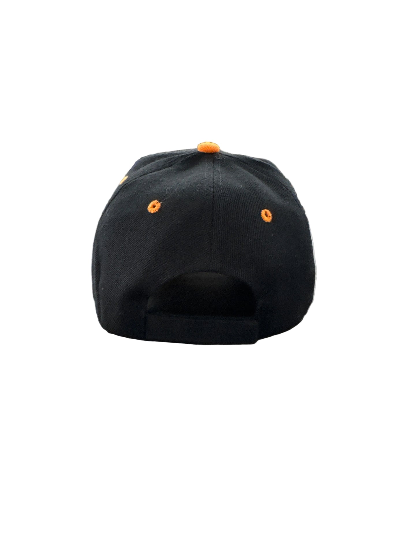 Vintage Harley Davidson Flames Hat
