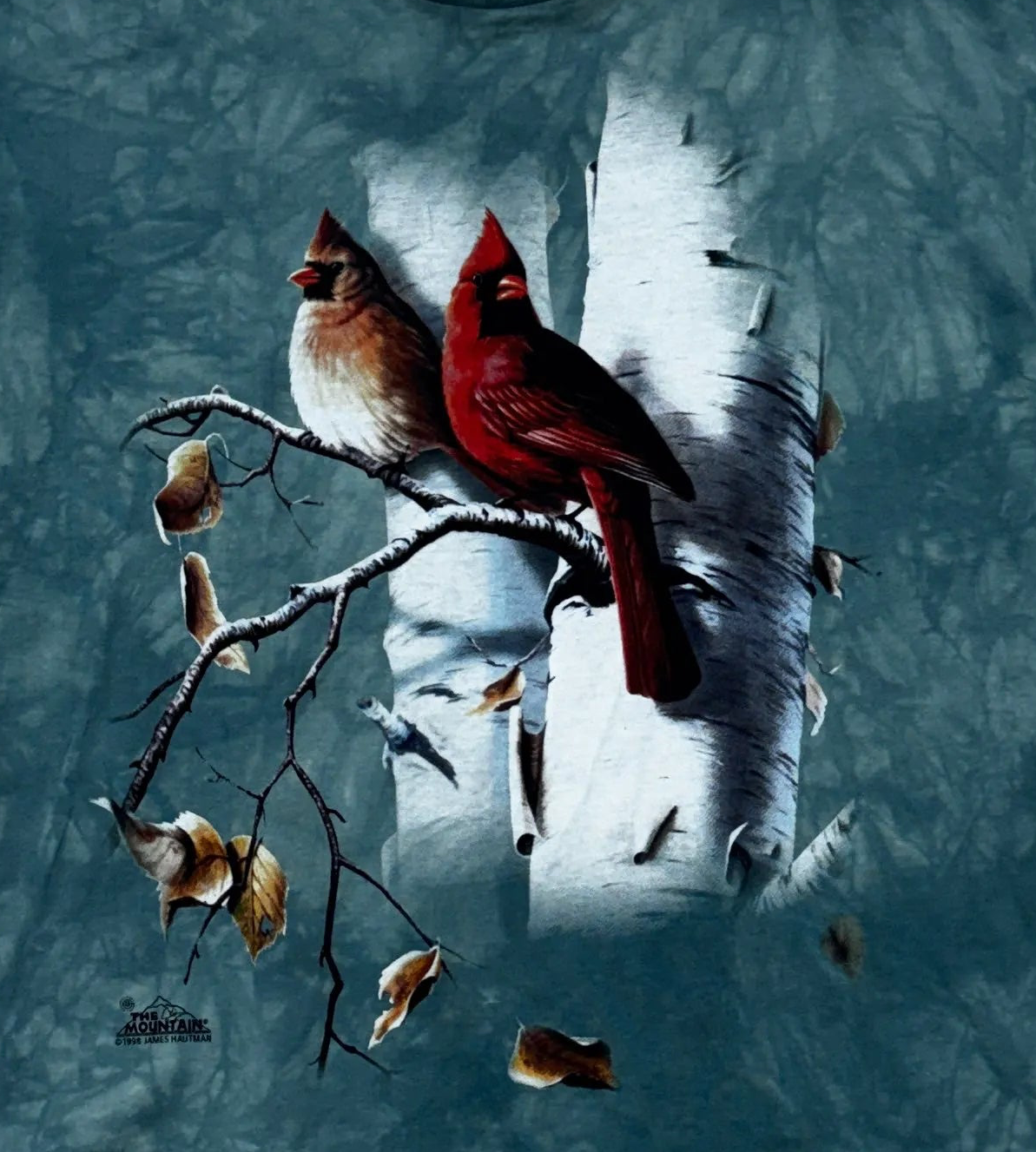 Vintage Nature Cardinals T-Shirt - XL