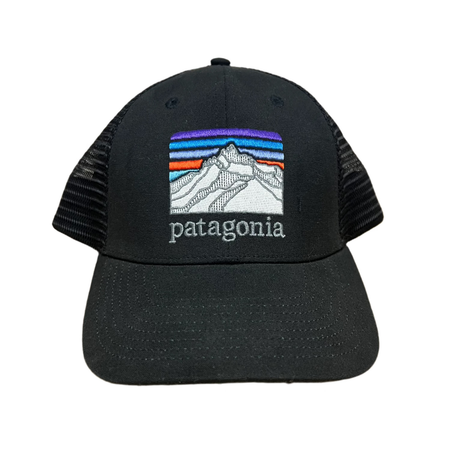 Patagonia Trucker Snapback Hat