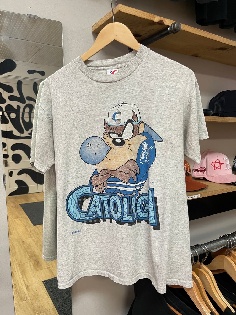 1993 Distressed Taz Tee - Medium - ALL GOODS - ALL GOODS