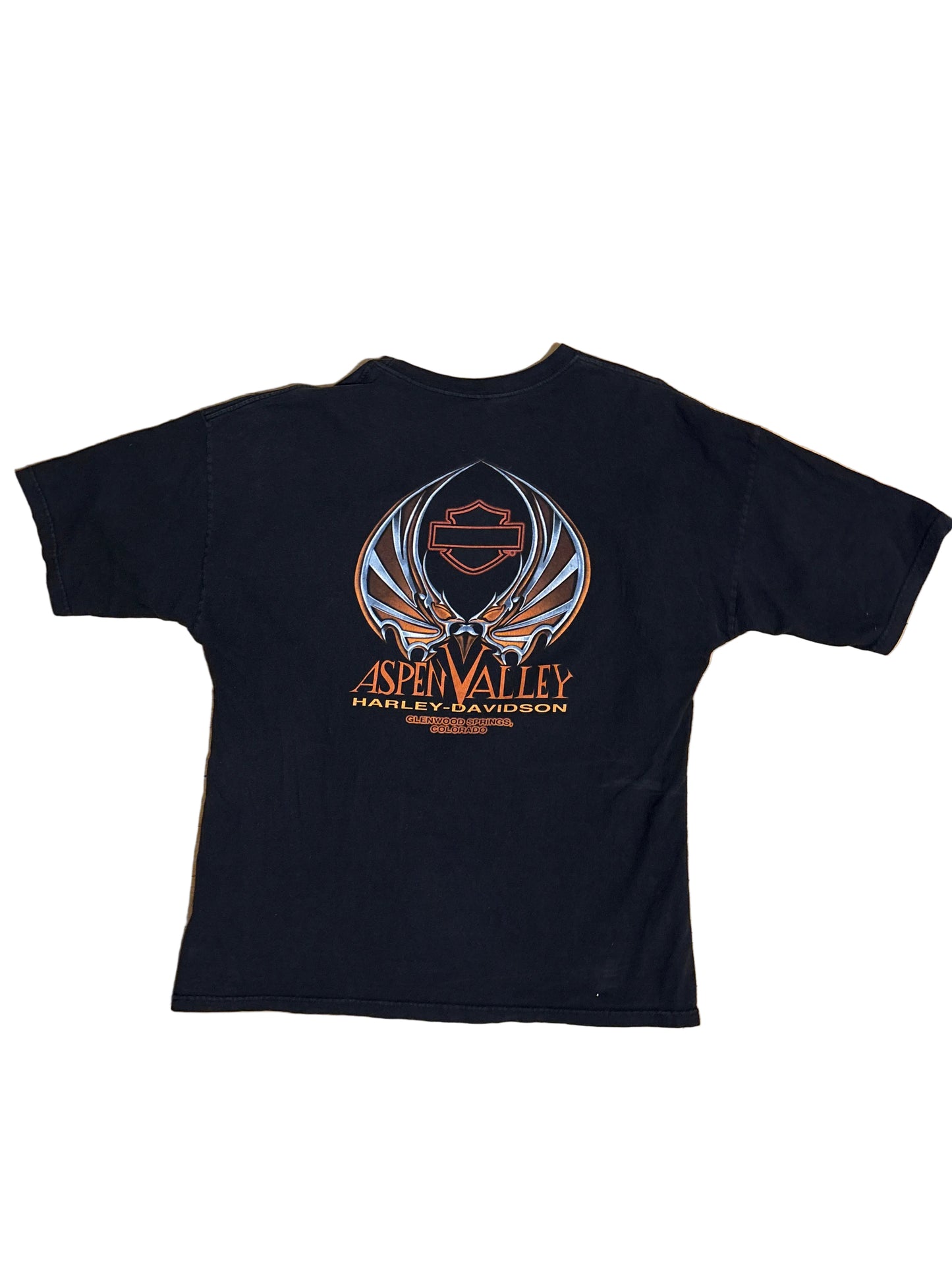 2007 Aspen Valley Harley Davidson T-Shirt