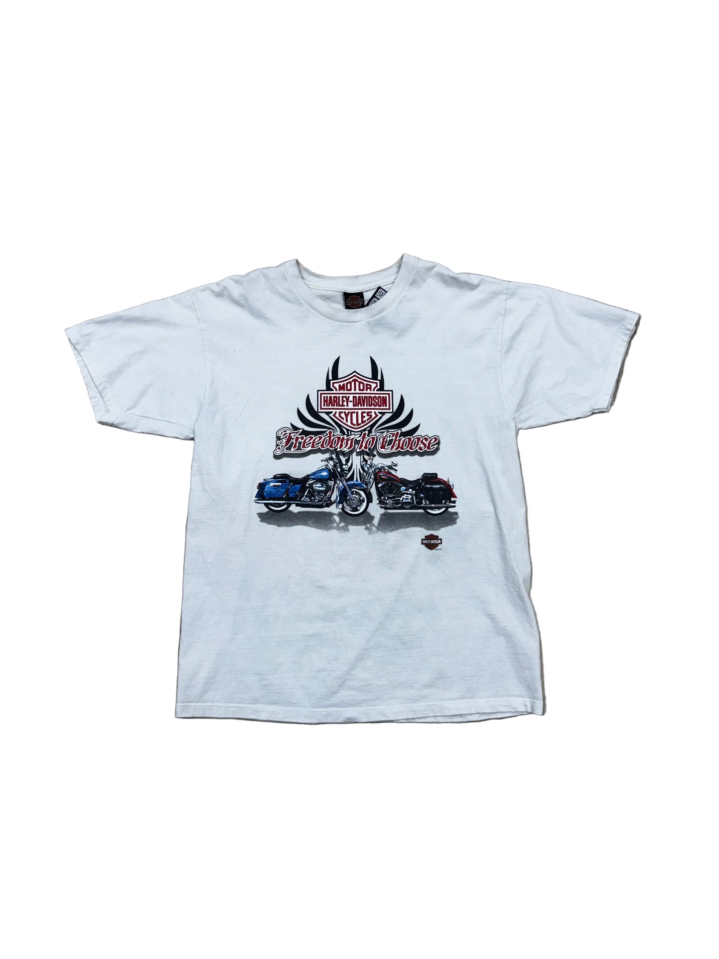 2003 Harley Davidson Freedom To Choose - XL