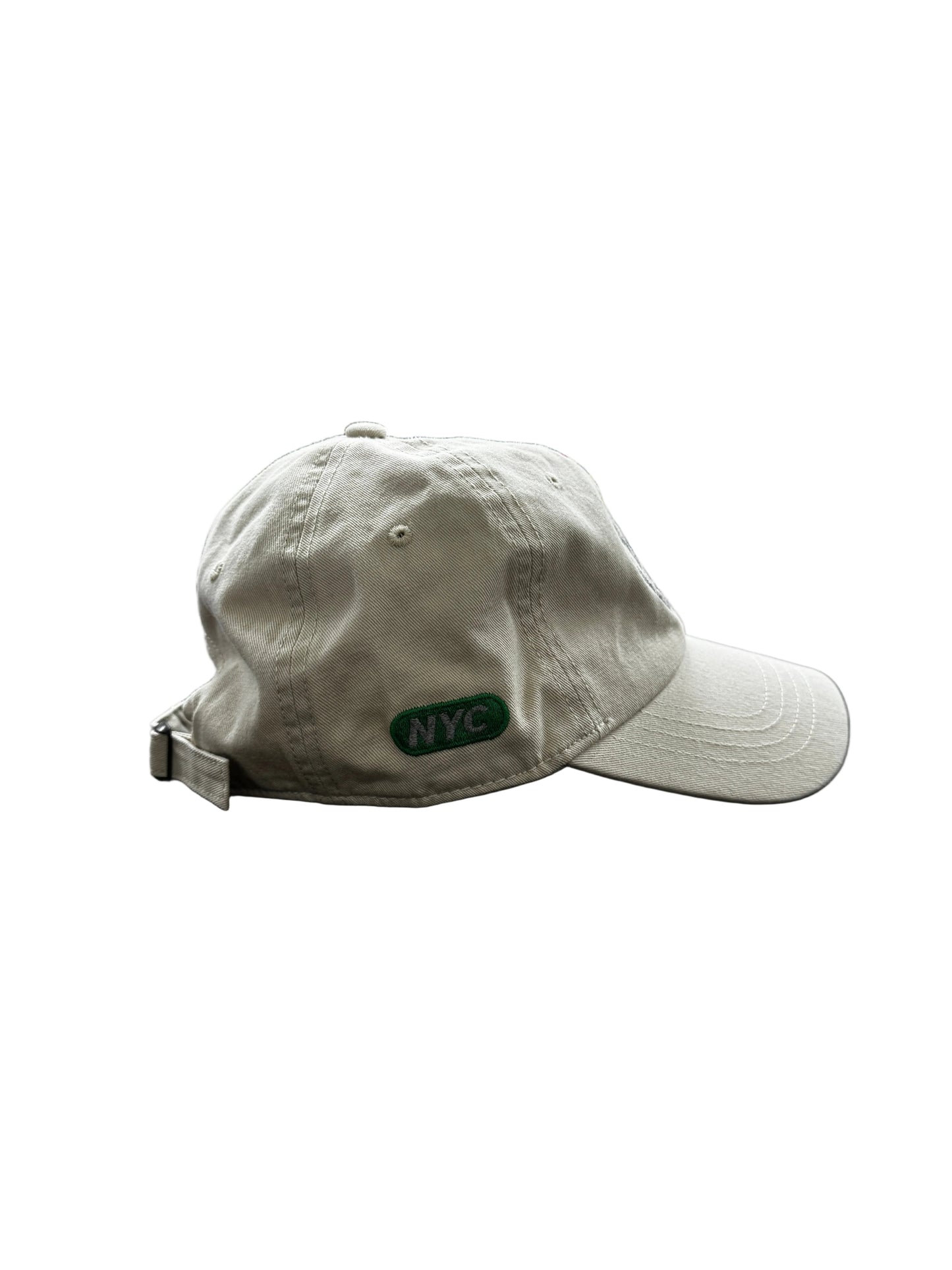 Hidden NY Hat