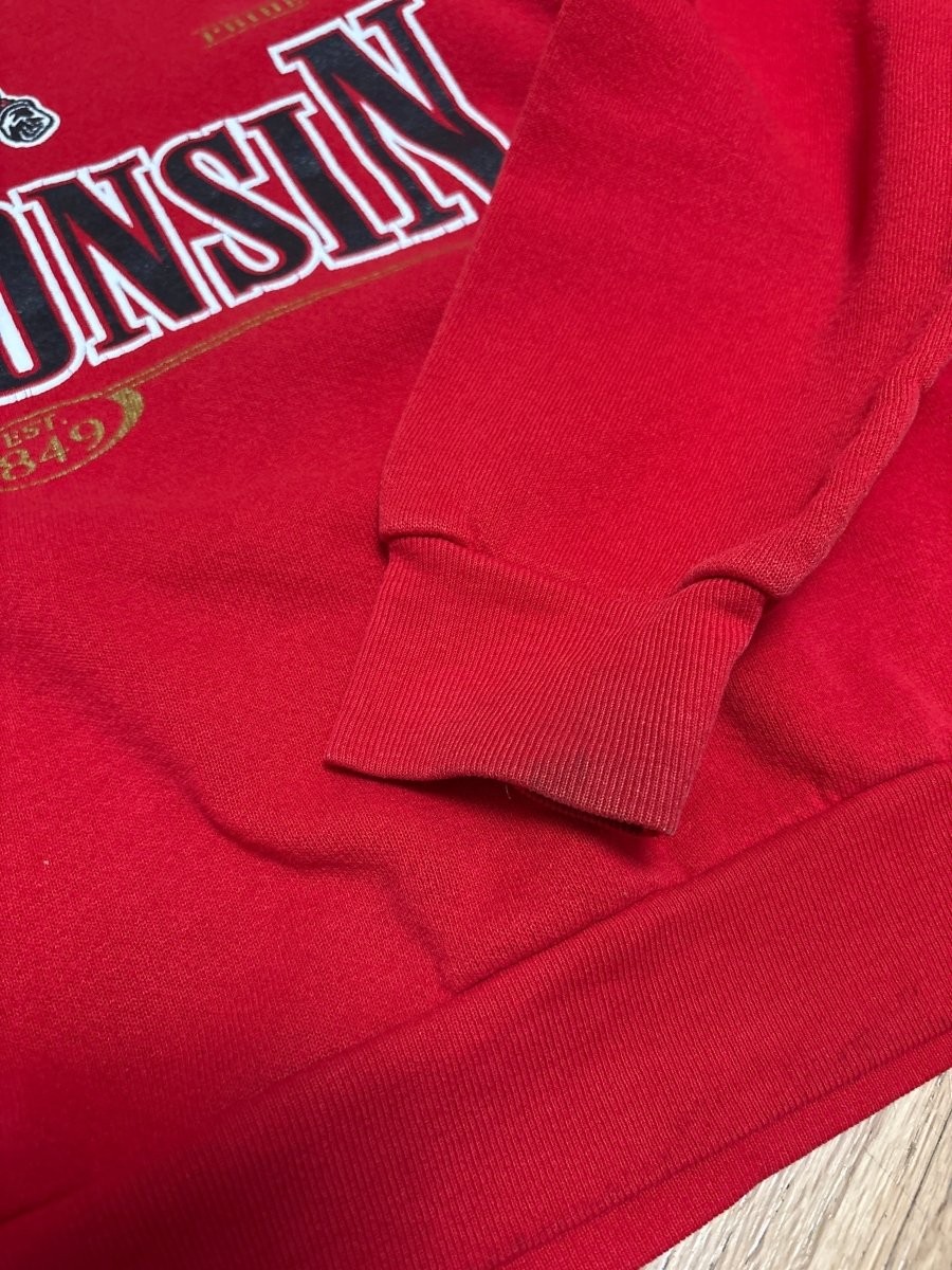 Team Pride Badgers Crewneck - Kids Large (10/12) - ALL GOODS - ALL GOODS