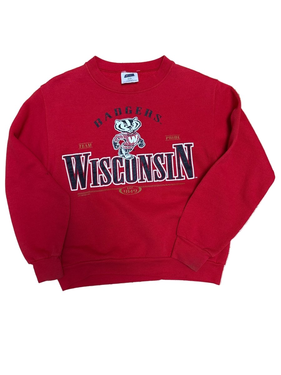 Team Pride Badgers Crewneck - Kids Large (10/12) - ALL GOODS - ALL GOODS